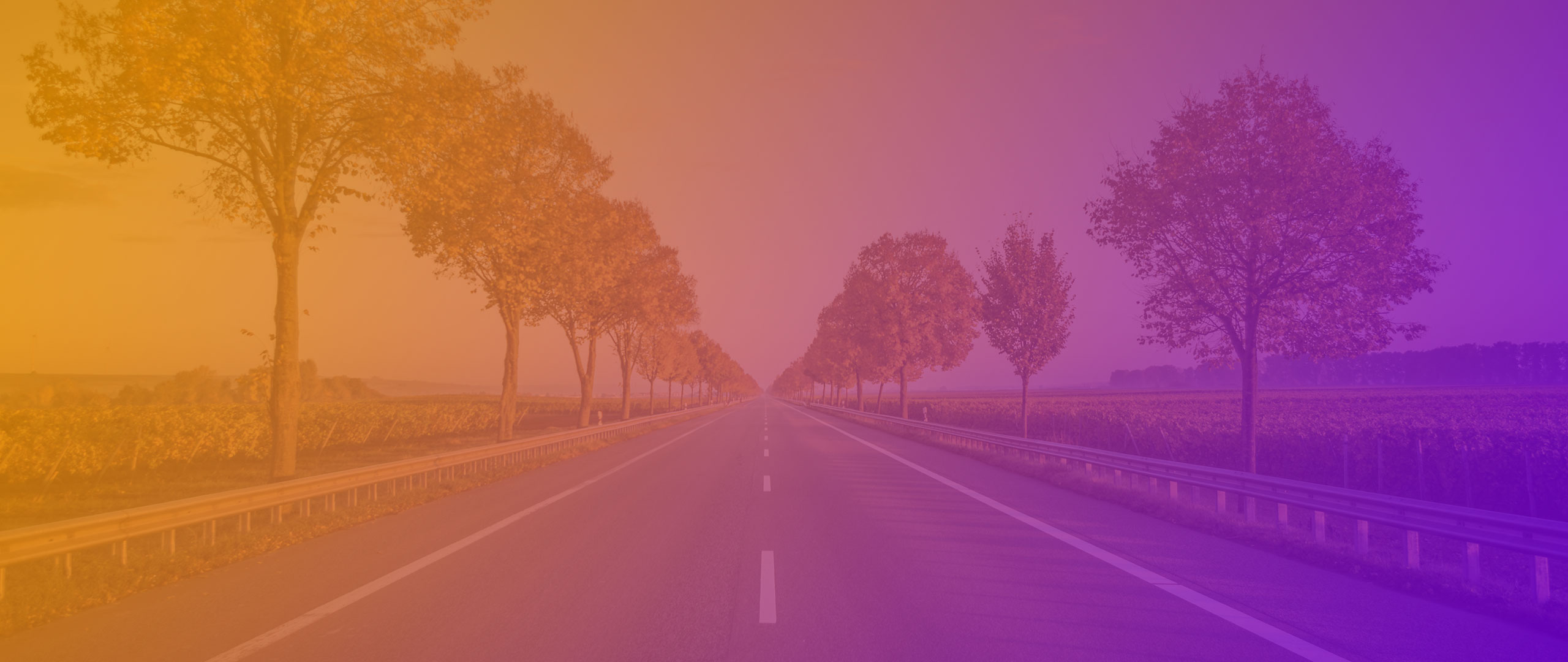 creative creative Analytics Report CMS Landing Page creative